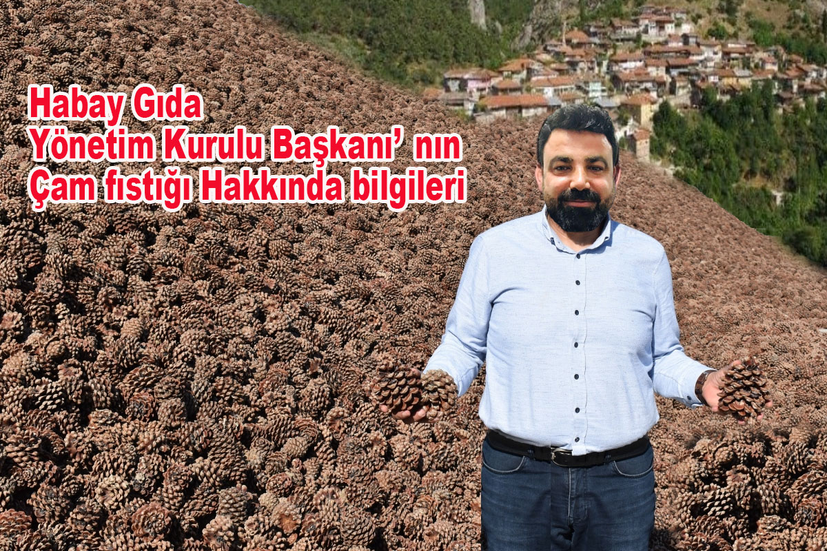 ÇAM FISTIĞI HAKKINDA BİLGİLER